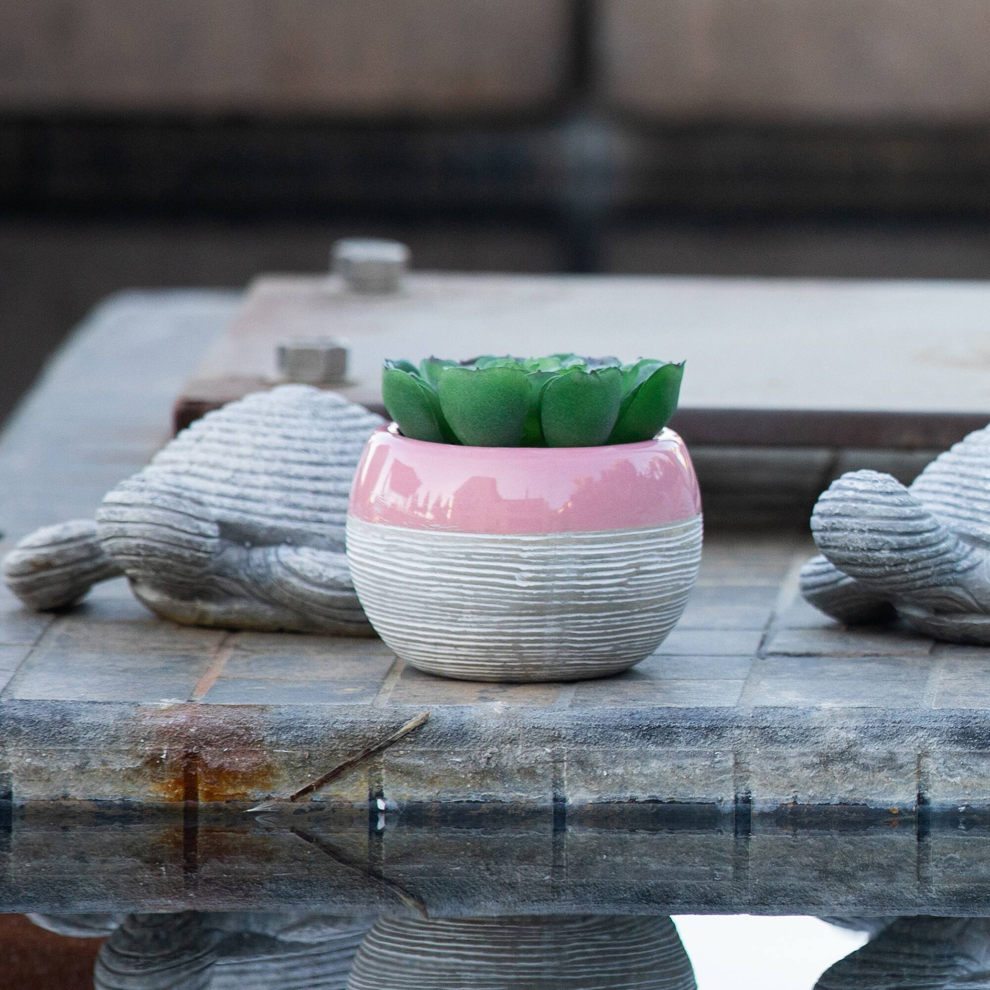 Flora Bunda® Succulent In Two Tone Lines Pattern Pink Ceramic Pot